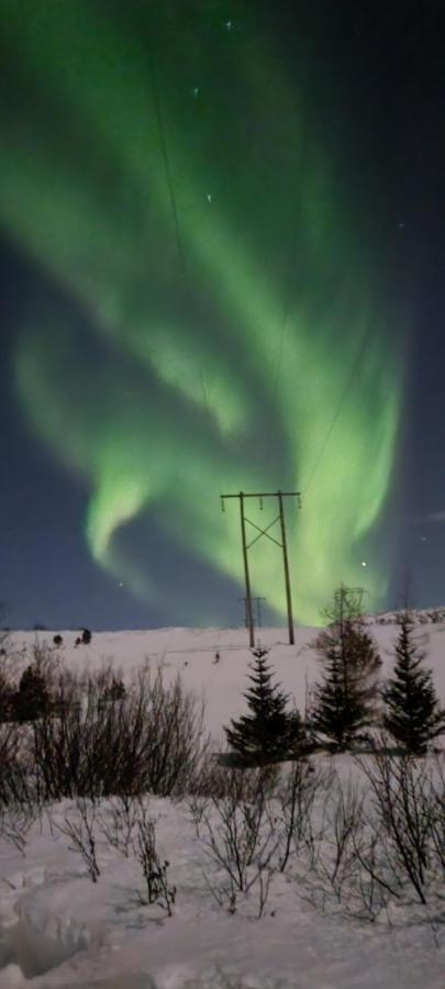 Gljufurbustathir Holiday Homes Хверагерди Екстериор снимка